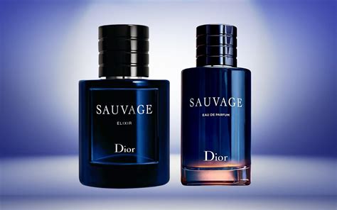 dior homme intense vs sauvage|sauvage by dior reviews.